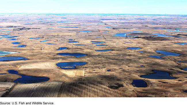 Aerial image of wetlands and farm land. 