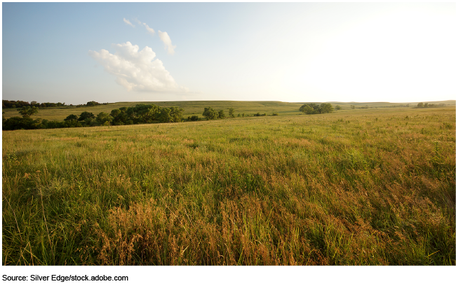 Prairie land