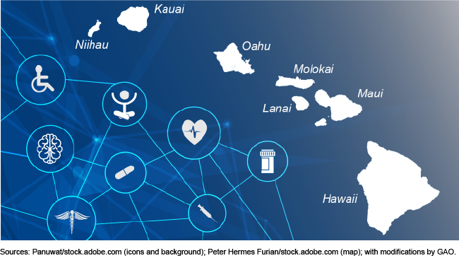 Map of the Hawaii islands next to healthcare icons such as a pill bottle and a heart with a monitor in it.