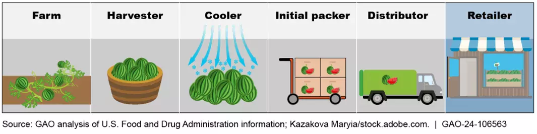 Graphic showing different points of contamination in the food supply chain.