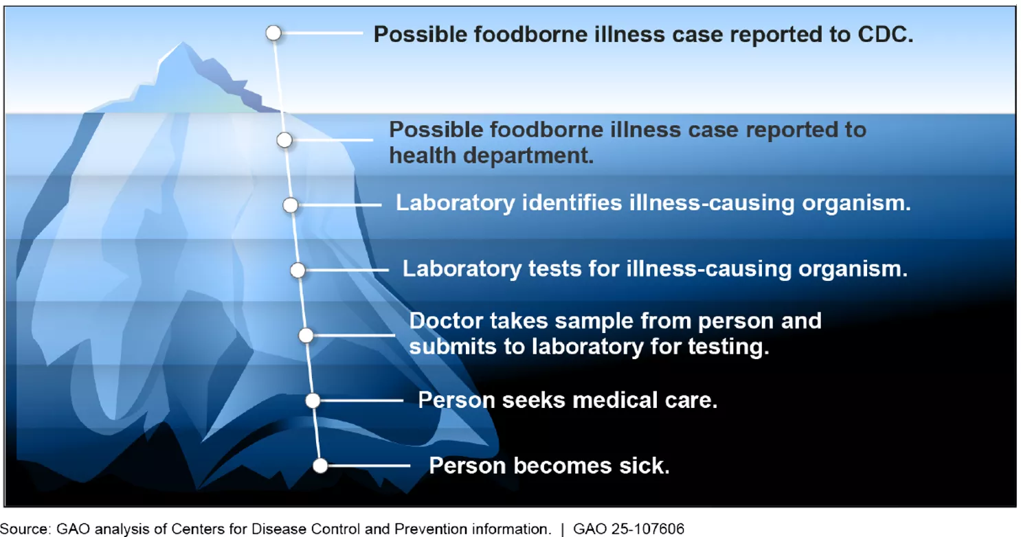 A graphic showing an iceberg to help illustrate underreporting of food poisoning, and the steps that can result in that underreporting. 