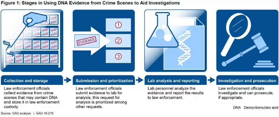 a chart depicting the process of testing a sexual assault kit