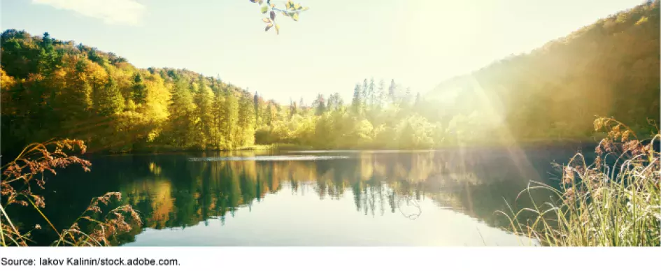 A lake surrounded by trees.