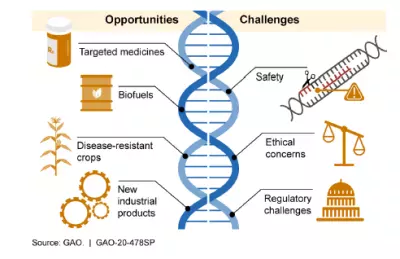 Graphic showing how CRISPR gene editing works. 