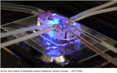 Photo showing a computer modeling devise that can be used in research.